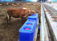 Automatyczne plastikowe koryta do picia dla bydła o ciągłym przepływie do formowania rotacyjnego koryta do picia