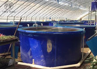 Produkty do formowania rotacyjnego M5000L, zbiornik otwarty z otwartym kolistym niebieskim pojemnikiem 1300 galonów Aquaponics